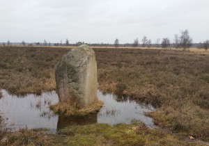Hijkerveld.jpg