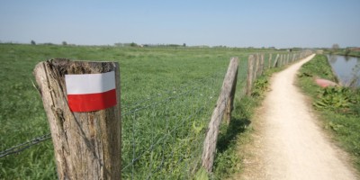 huisstijlfoto wandelnet - kopie.jpg