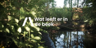 wat leeft erin.JPG
