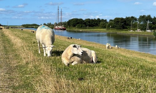 Op de dijk, net buiten Workum © Ernst Koningsveld.jpg