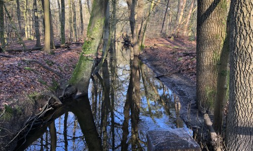 Beek Leuvenhorst.jpeg