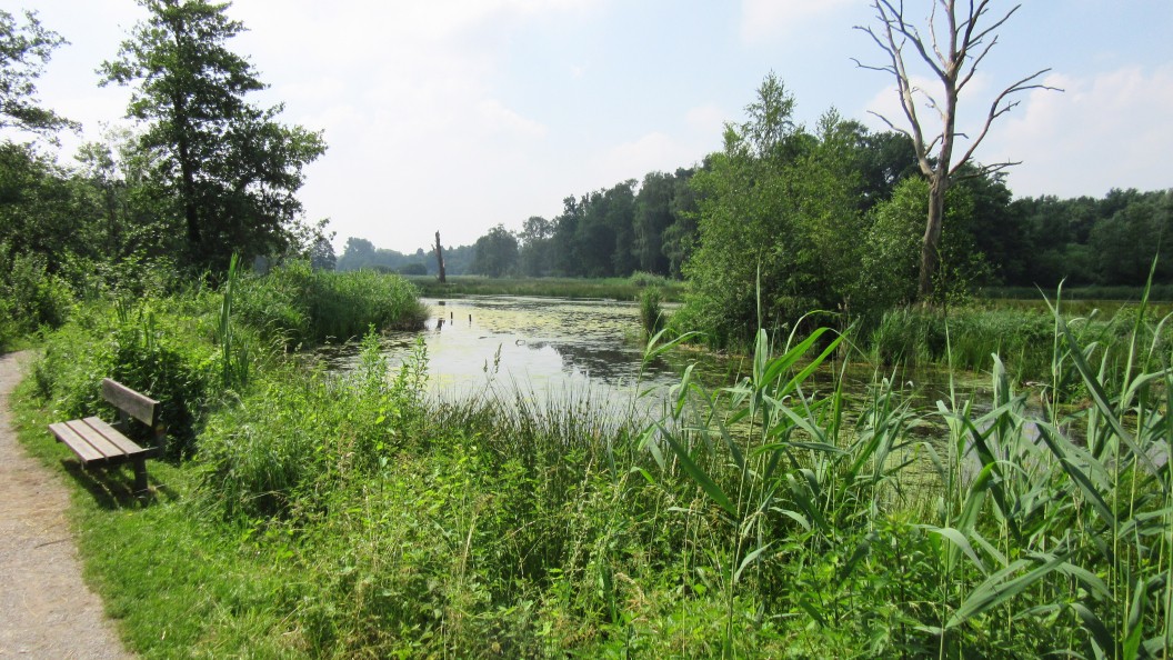 Wandelen in en rond Hanzestad Venlo: NS-Wandeling Krickenbecker Seen