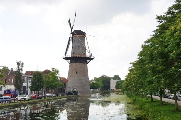 schiedam-jeneverstad