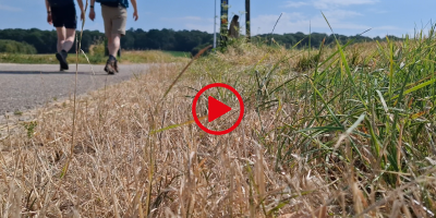 Leo - NS-wandeling Valkenburg a_d Geul.png