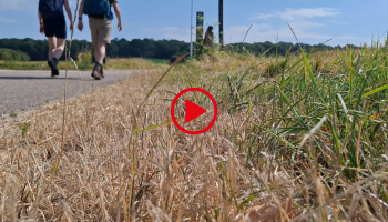 Leo - NS-wandeling Valkenburg a_d Geul.png