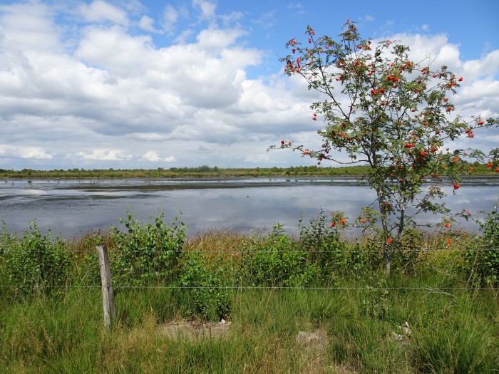Plasje Bargerveen