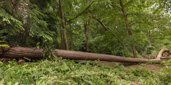 Stormschade-Leersum