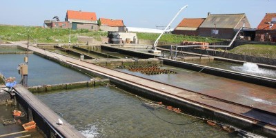 etappe 01.jpg
