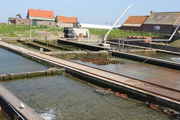 etappe 01.jpg