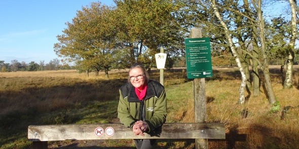 Hanna Schipper, Het Drentse Landschap.jpg