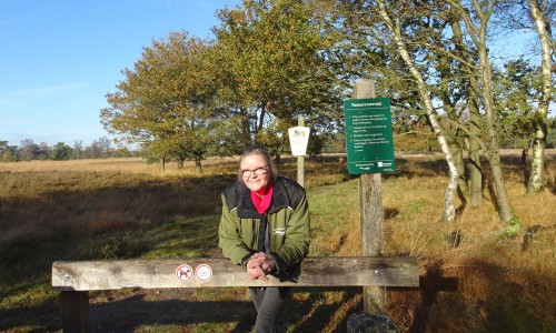 Hanna Schipper, Het Drentse Landschap.jpg