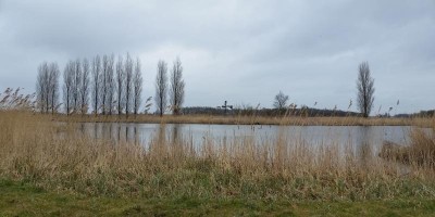 De Weelen-Enkhuizen.jpg
