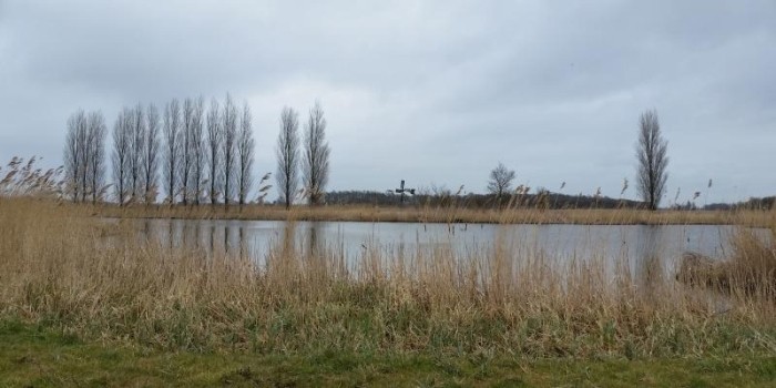 De Weelen-Enkhuizen