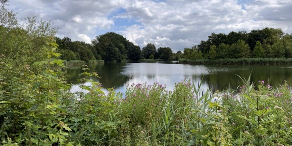 Natuurpark Lelystad © Ernst Koningsveld.jpg