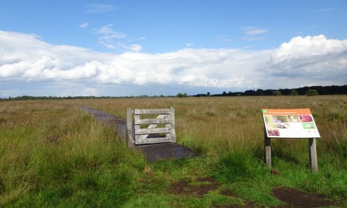 Trekvogelpad. Marleen Lekkerkerk.jpg