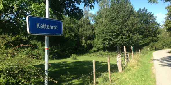 Kattenrot.png